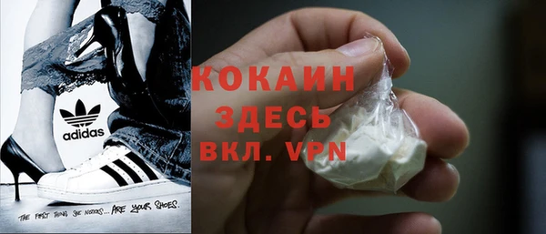 твердый Гусев