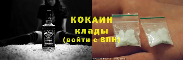 твердый Гусев