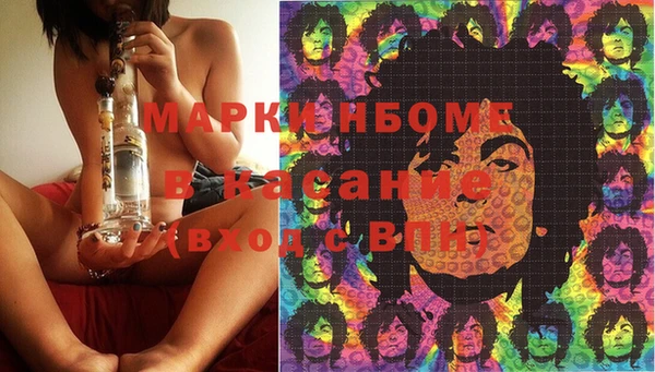 твердый Гусев