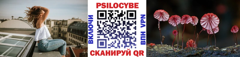 Купить  Сковородино  Псилоцибиновые грибы Magic Shrooms 